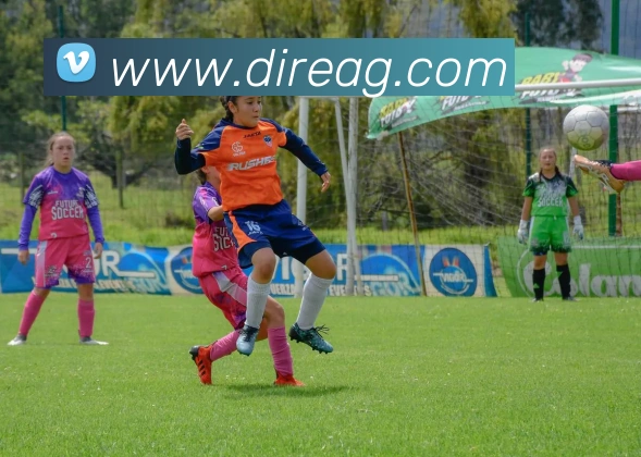 ag百家乐平台生态图